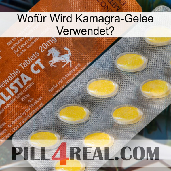 Wofür Wird Kamagra-Gelee Verwendet 42.jpg